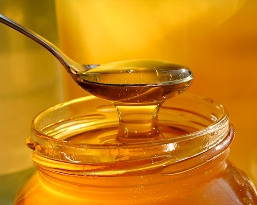  Raw Honey Bulk Redgranite WI